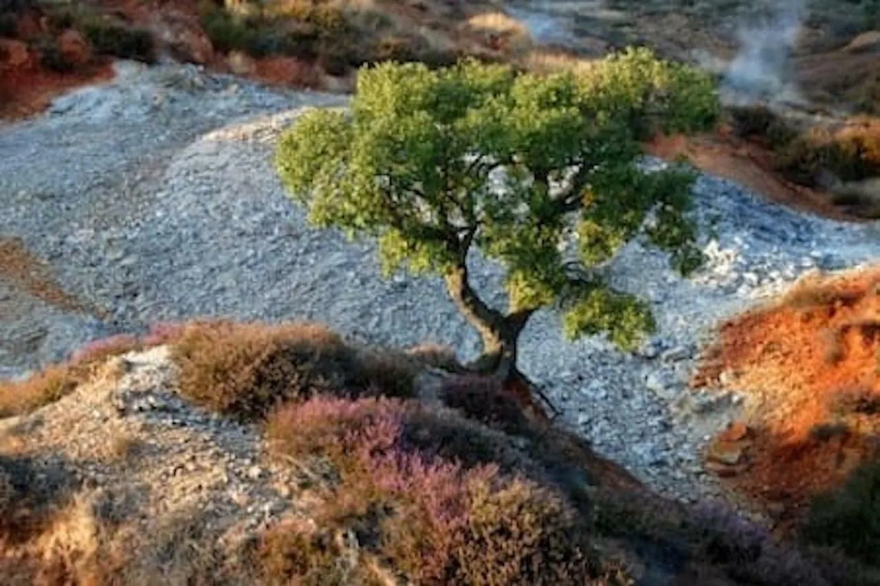 蒙泰韦尔迪马里蒂莫Meravigliosamente Toscana别墅 度假居 蒙泰韦尔迪马里蒂莫