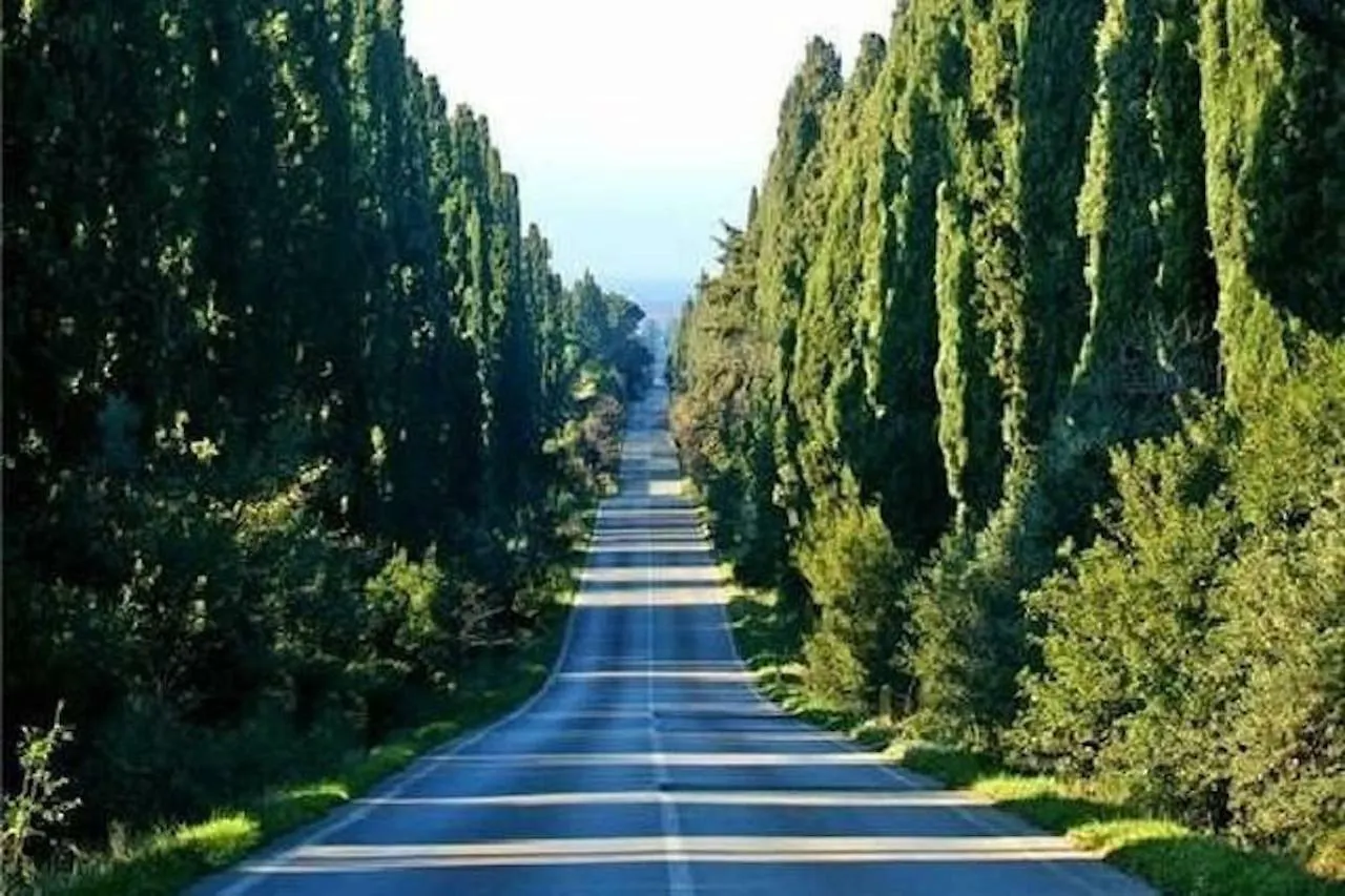 蒙泰韦尔迪马里蒂莫Meravigliosamente Toscana别墅 度假居